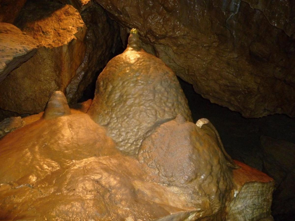 Rodinny Penzion Drevenka-Kulturni Pamatka Bozkovska Ngoại thất bức ảnh
